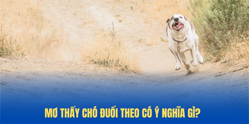 Bị chó dữ đuổi theo trong mơ và ý nghĩa thực sự