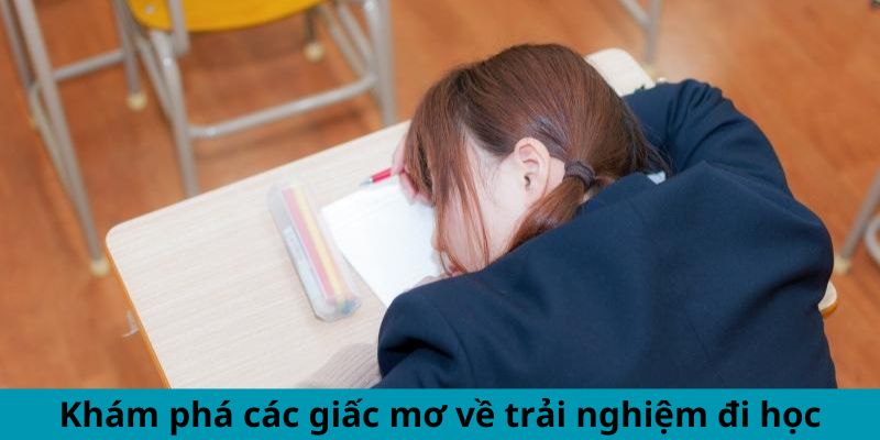 Khám phá các giấc mơ về trải nghiệm đến trường